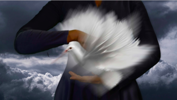 Catch The Bird Who Won't Fly