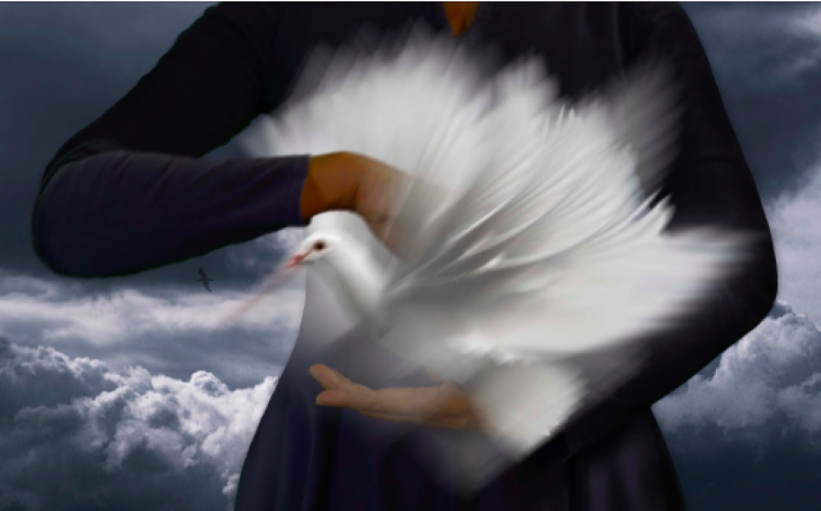 Catch The Bird Who Won't Fly