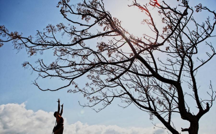 Paalai: in Paalai, the first meaning is desert landscape, the secondary meaning  includes mid-day and the summer season. PC: Noir Barakat