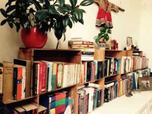 Read more about the article The World of Books