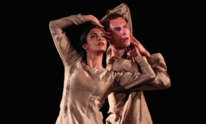 Read more about the article About the Elephant