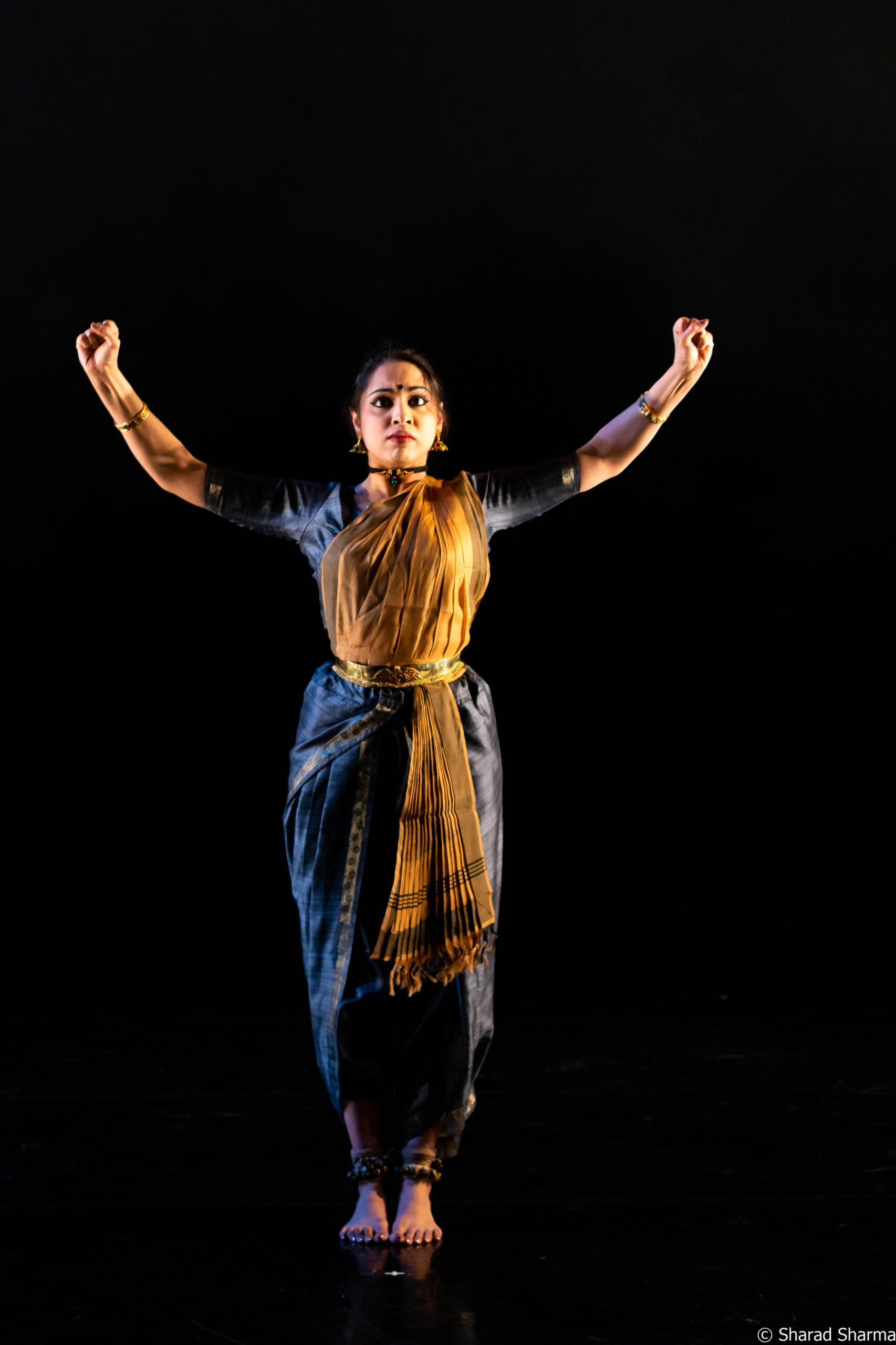 Read more about the article Just Enough Madness by Payal Ramchandani