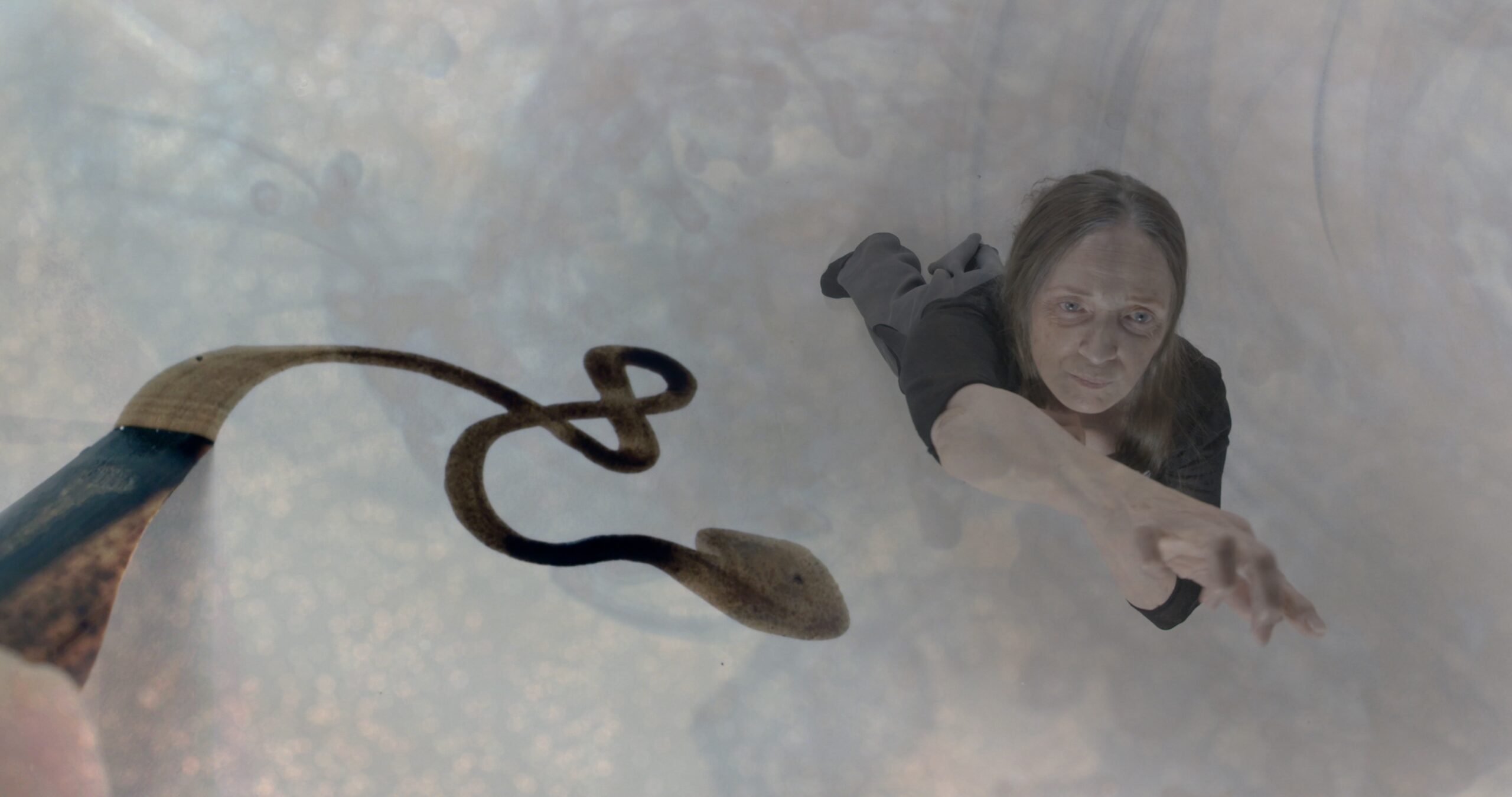 You are currently viewing Dastaan – with Sarvar Sabri