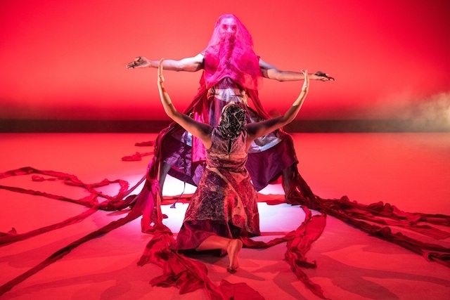 You are currently viewing Seeta Patel’s The Rite of Spring