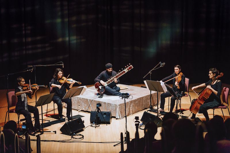 Read more about the article The Bridge and Cicadas