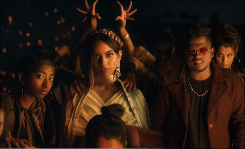 Read more about the article For the dogs, the foxes, and the cats.