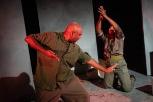Read more about the article Who Is Really Shaping South Asian Dance?