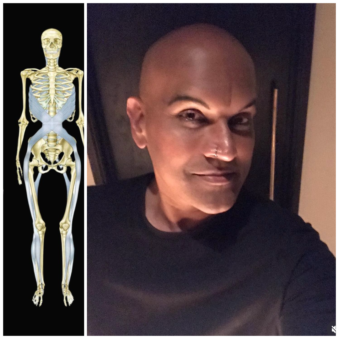 Fascia in faschion, Fascia Meridians by Tom Myres